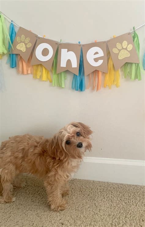 Custom Dog Birthday Banner-puppy Birthday Banner-dog Age - Etsy