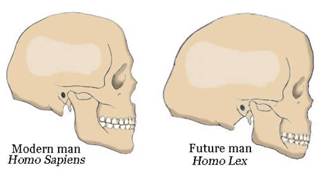 Future human evolution by Guyverman on DeviantArt