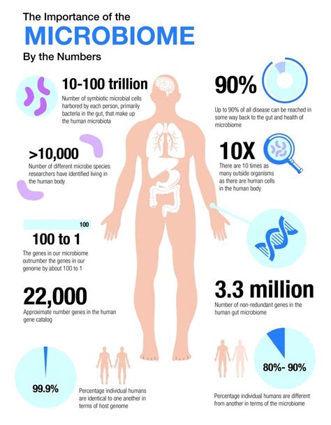 Human Microbiota