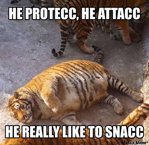 fat tiger - Meme by scanny8537 :) Memedroid