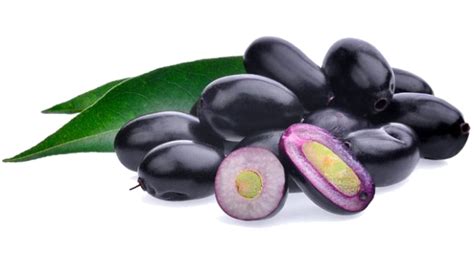 Jamun Java Plum Transparent PNG | PNG Mart