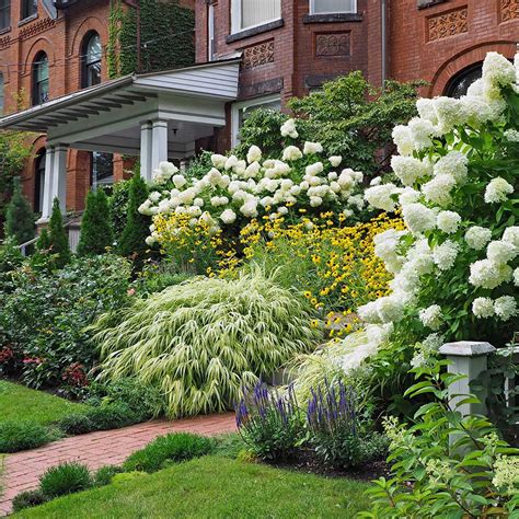 Garden Border Shrubs | Fasci Garden