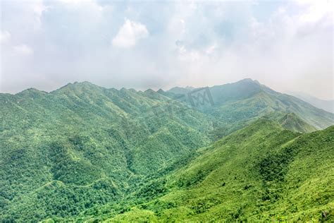 山林森林背景摄影图片-山林森林背景摄影作品-千库网