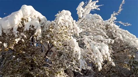 First Snowfall of the Season- Theog, Shimla - YouTube