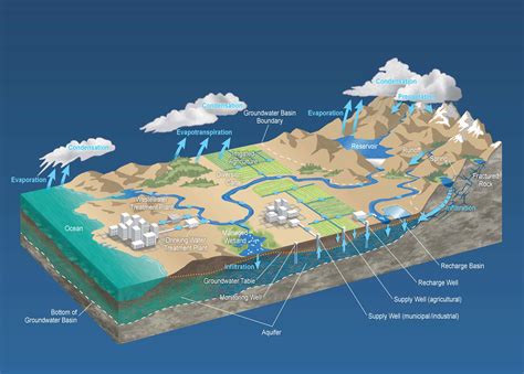 Groundwater Cycle