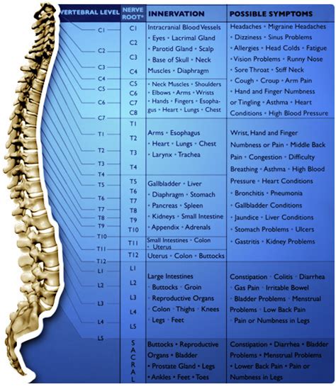 Emotional Release Therapy - Arcari Wellness