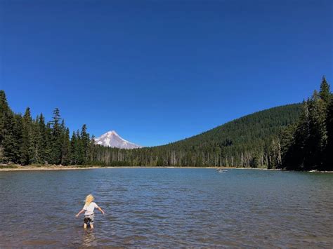 Frog Lake, Oregon: Mt Hood campground, trail + polliwog paradise!