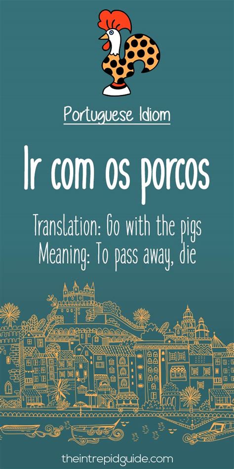 25 Hilarious Portuguese Phrases That Make No Sense | The Intrepid Guide