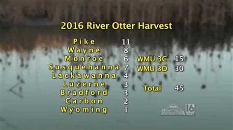 River Otter Season Harvest Report & Pennsylvania People and Places ...