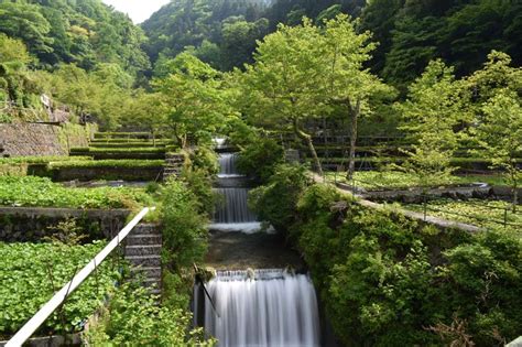 Kawazu Nanadaru Waterfalls – Gravity Hotels & Resorts