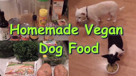 Homemade Dog food Recipe - Vegan/Plant-based - DailyVeganLife.com