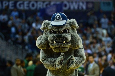 Jack the Bulldog, Georgetown Hoyas mascot. (With images) | Mascot, Georgetown hoyas, Bulldog