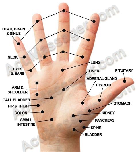 Pin on Acupuncture for migraine and pain