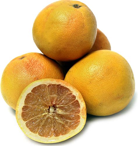 Pink Grapefruit Information and Facts