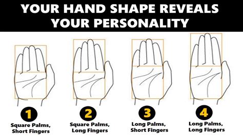 Hand Shape Personality Test: Your Hands Reveal Your True Personality Traits