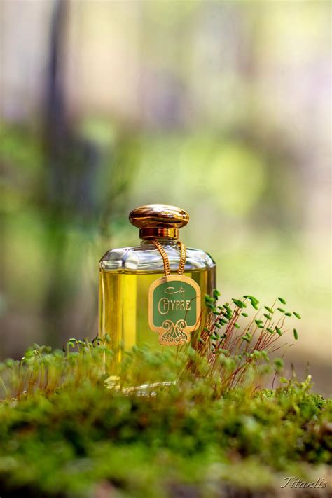 Chypre Coty perfume - a fragrance for women 1917