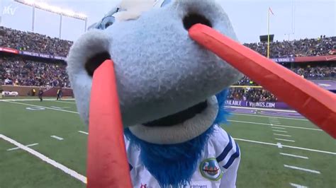 The Indianapolis Colts mascot is a terrible, disgusting, child-shoving ...