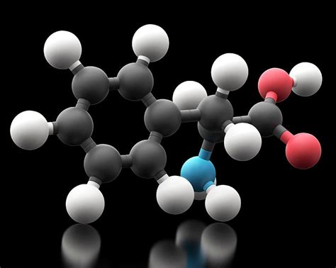 Phenylalanine Amino Acid Molecule Photograph by Carlos Clarivan/science Photo Library - Fine Art ...