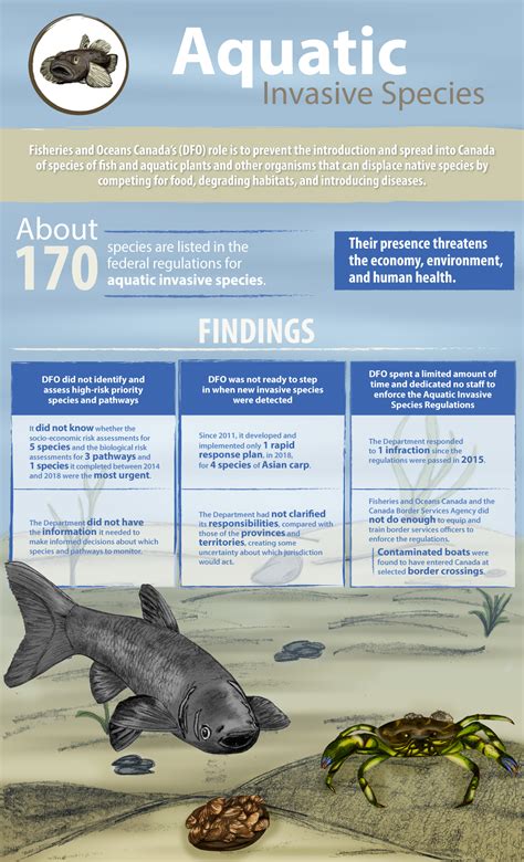 Aquatic Invasive Species—Infographic