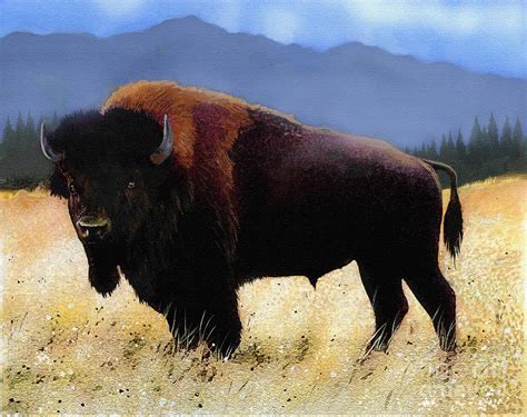 Big Bison Painting by Robert Foster - Pixels