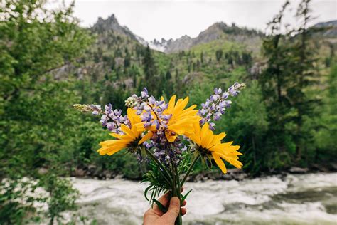 Hike Leavenworth Area | Riparide