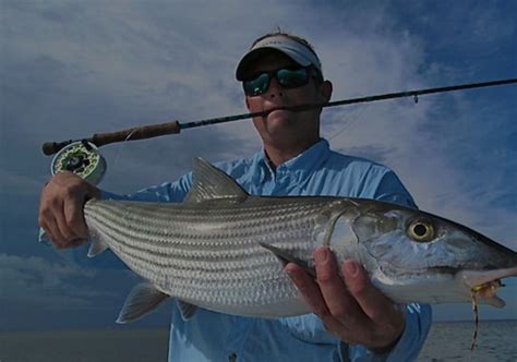 Biscayne Bay Fishing Guide | Inshore Guided Fishing Charters