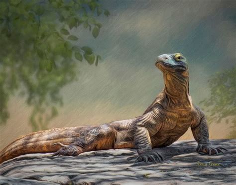 16x20 Komodo Dragon Painting - Heart and Soul Art - Paintings & Prints ...