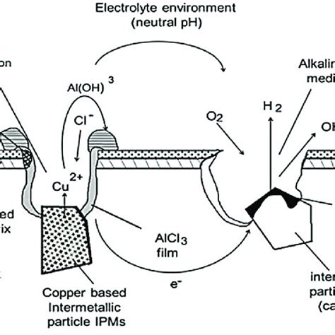 Schematic mechanism of pitting corrosion on aluminium AA2024 [4 ...