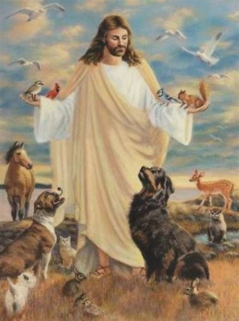 Do Pets Go To Heaven Bible Verse | Pets Animals US