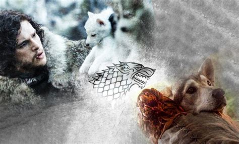 Do The Names of The Direwolves In 'Game of Thrones' Actually Predict ...