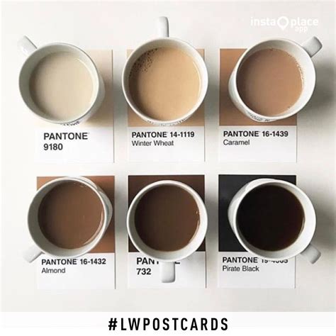 Postcard Coffe Pantone | Minimalist house design, Coffee colour, Pantone