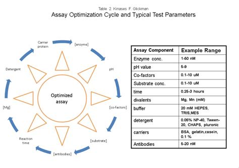 Assay Development for Protein Kinase Enzymes - Assay Guidance Manual ...