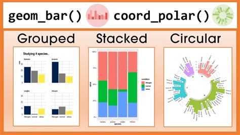 Advanced Bar Chart in R Tutorial: Grouped, Stacked, Circular (R Graph Gallery) - YouTube