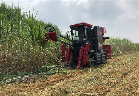 sugarcane harvester for brazil | FMWORLD Agricultural Machinery