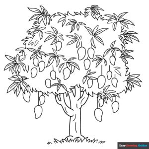 Mango Tree Coloring Page | Easy Drawing Guides