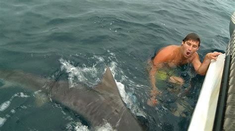 fatal Tiger Shark Attack bulgaria - YouTube