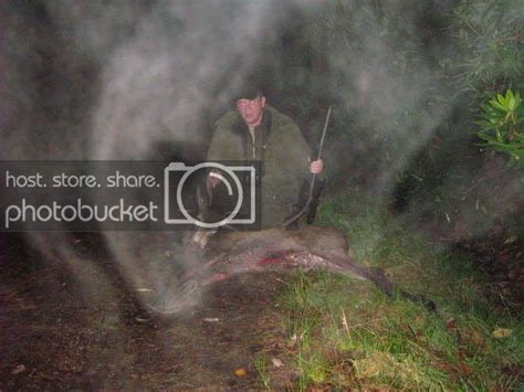 Red Deer Hunt in Scotland - HuntingNet.com Forums