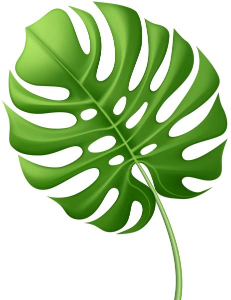 Tropical Leaf Png Clip Art Best Web Clipart | Images and Photos finder