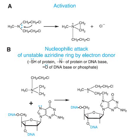 Alkylating agents - BioPharma Notes