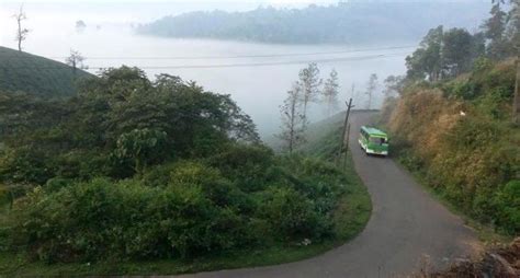 Cardamom hills of Kerala face daunting drought – Village Square