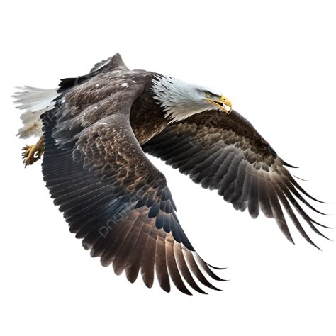 The Eagles Wings Are Transparent On A White Background, Eagle, Wing, Fly PNG Transparent Image ...