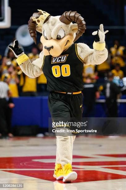 Vcu Mascot Rodney Photos and Premium High Res Pictures - Getty Images