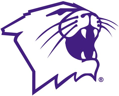 Northwestern Wildcats Partial Logo - NCAA Division I (n-r) (NCAA n-r ...