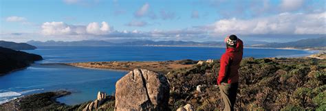 Stewart Island - Kiwis and Wildlife - New Zealand | Tourism NZ