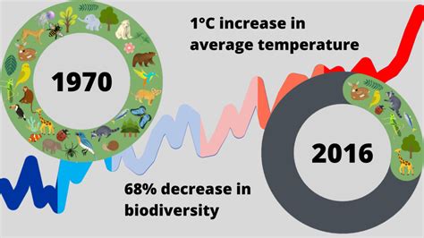 Climate change and biodiversity need to be tackled in tandem to effect real change, experts say