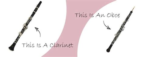 Difference Between Oboe and Clarinet - Differences Finder