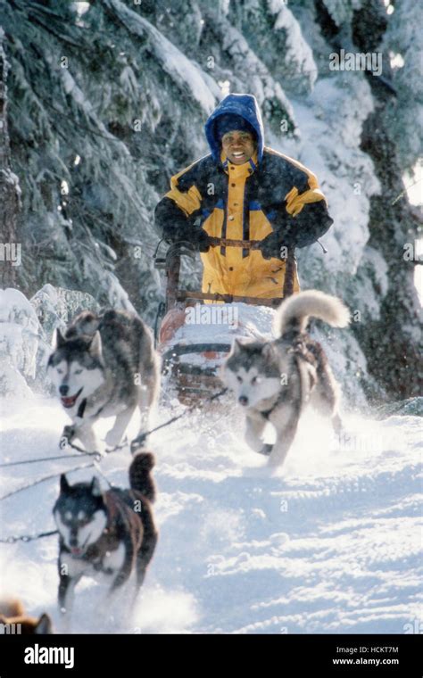 SNOW DOGS, Cuba Gooding Jr., 2002 (c) Walt Disney. Courtesy Everett ...