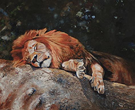 Sleeping Lion Painting by Dustin Curtis