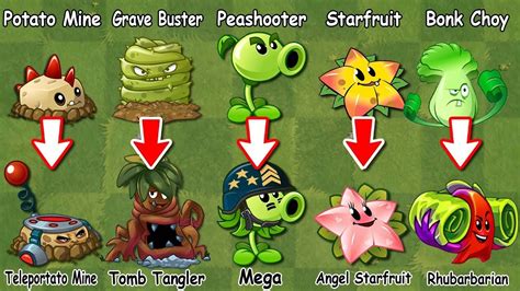 PvZ 2 Discovery - Every All Plants Evolution NOOB - PRO (China ...