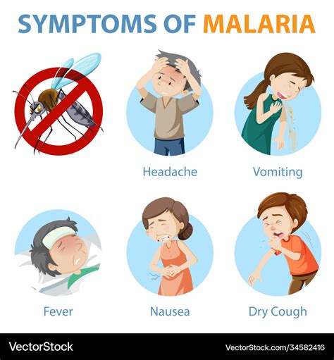 Symptoms malaria cartoon style infographic Vector Image